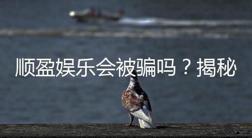 顺盈娱乐会被骗吗？揭秘平台安全性与防骗指南