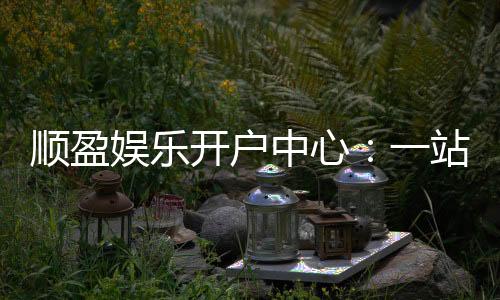 顺盈娱乐开户中心:一站式注册指南与优惠活动详解