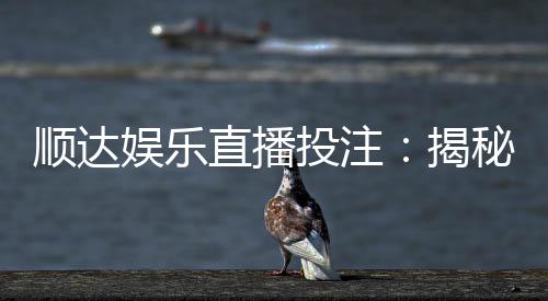 顺达娱乐直播投注：揭秘高胜率玩家的实战技巧与策略