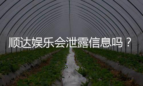 顺达娱乐会泄露信息吗？深度解析平台安全性与隐私保护措施