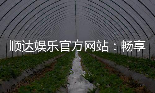 顺达娱乐官方网站：畅享顶级棋牌游戏与真人娱乐体验