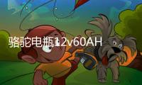 骆驼电瓶12v60AH适配伊兰特吉利远景55D23东风风光580汽车蓄电池