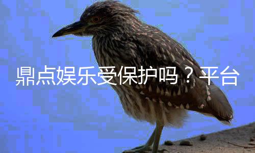 鼎点娱乐受保护吗？平台安全性与玩家权益深度解析