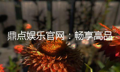 鼎点娱乐官网：畅享高品质棋牌与电子游艺新体验