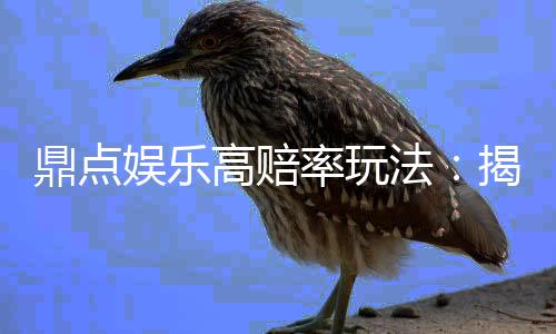 鼎点娱乐高赔率玩法：揭秘稳赢技巧与爆分秘籍