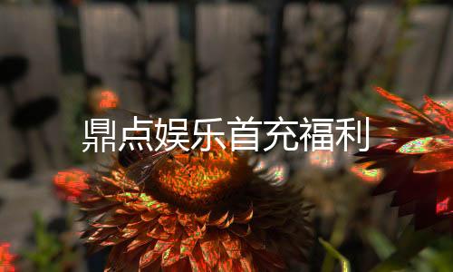 鼎点娱乐首充福利