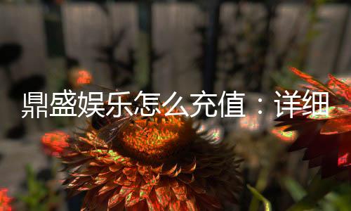 鼎盛娱乐怎么充值：详细指导策略分享