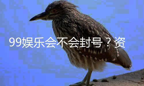 99娱乐会不会封号？资深玩家揭秘防封号技巧与平台安全性