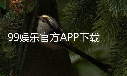 99娱乐官方APP下载：畅享顶级棋牌电游的尊贵体验