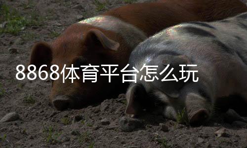 8868体育平台怎么玩？新手注册、充值、玩法与安全全面解析