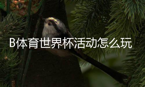 B体育世界杯活动怎么玩？参与步骤、优惠攻略与中奖技巧全解析