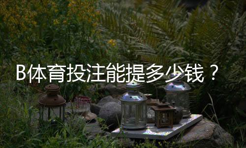 B体育投注能提多少钱？提现限额、到账时间与手续费全解析