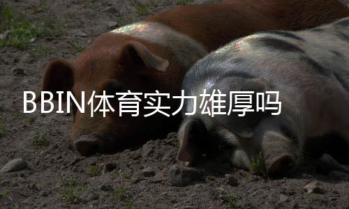 BBIN体育实力雄厚吗？权威评测：平台背景、安全性与优势全面解析