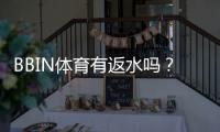BBIN体育有返水吗？返水规则、比例与领取流程一文看懂