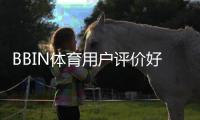 BBIN体育用户评价好不好？真实玩家点评、优缺点与安全性全面解析