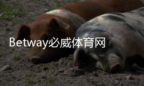 Betway必威体育网页登录怎么操作？新手注册与登录步骤详解