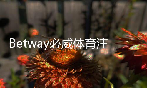 Betway必威体育注册要实名吗？实名认证流程与注意事项详解