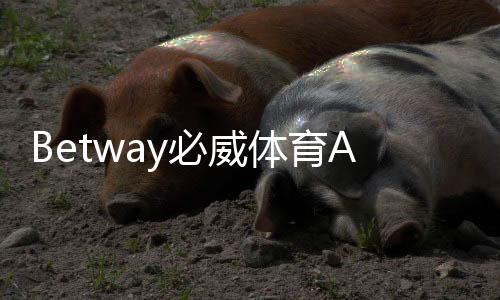 Betway必威体育APP登录教程:注册下载、账号安全与常见问题全解析
