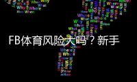 FB体育风险大吗？新手必读：全面评估风险点与实用防范技巧