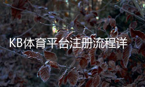 KB体育平台注册流程详解：新手快速完成注册、登录与实名认证