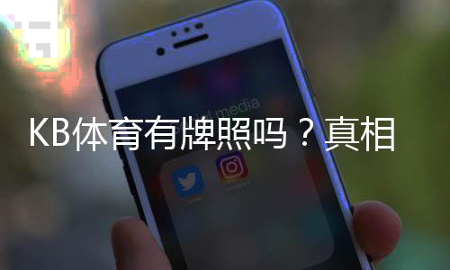 KB体育有牌照吗？真相揭秘与官方牌照查询及风险识别指南