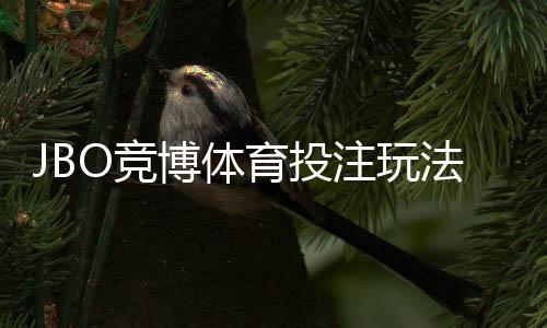 JBO竞博体育投注玩法多吗？玩法类型、规则与新手攻略全面解析