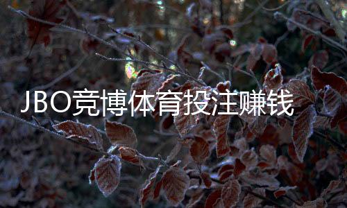 JBO竞博体育投注赚钱吗?真实评测、盈利可能与风险控制全解析