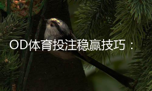 OD体育投注稳赢技巧：新手必看实战攻略与风险管理