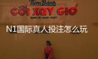 N1国际真人投注怎么玩？新手入门规则、玩法解析与安全须知
