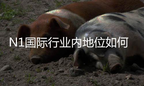 N1国际行业内地位如何？行业排名、竞争优势与未来前景深度解析