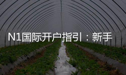 N1国际开户指引：新手注册流程、实名认证与安全充值全攻略