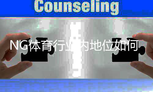 NG体育行业内地位如何？市场表现、竞争优势与发展前景深度解析