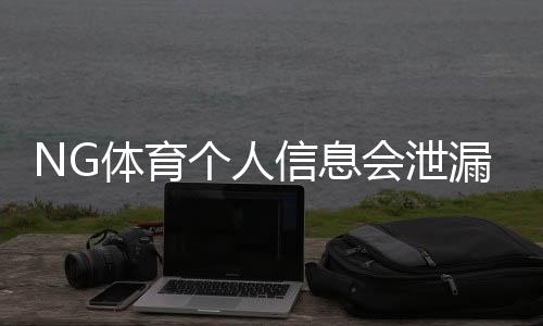 NG体育个人信息会泄漏吗？隐私风险评估与防护全攻略