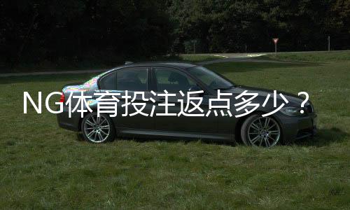 NG体育投注返点多少？最新返点比例、计算方法与领取攻略