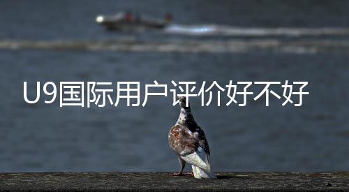 U9国际用户评价好不好?真实口碑与优缺点全面解析