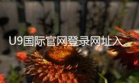 U9国际官网登录网址入口与最新官方域名：登录步骤、账号注册与安全指南
