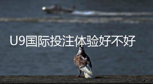 U9国际投注体验好不好？真实测评、玩法亮点与风险解析