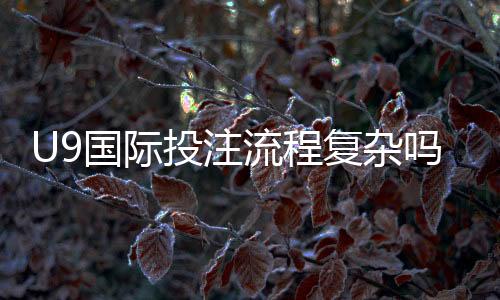 U9国际投注流程复杂吗？详解注册、充值、下注全流程与常见问题