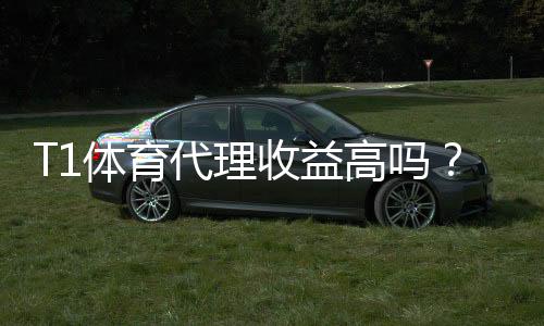 T1体育代理收益高吗？真实收益解析、分成模式与赚钱攻略