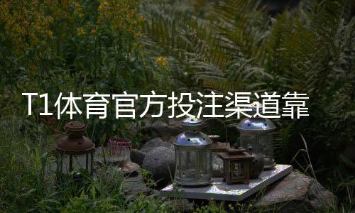 T1体育官方投注渠道靠谱吗？官网入口、验证方法与安全充值指南