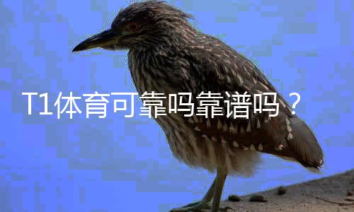 T1体育可靠吗靠谱吗？真实评测与用户口碑、资金安全全面解析