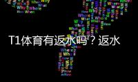 T1体育有返水吗？返水规则、比例与领取流程全面解析