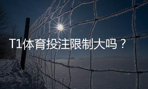 T1体育投注限制大吗？全面解析限制范围、原因与新手应对建议