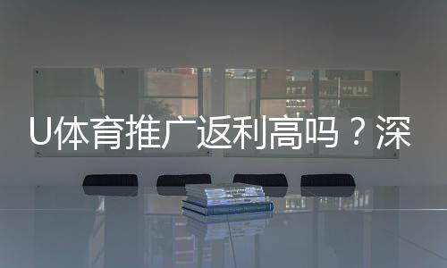 U体育推广返利高吗？深度解析平台返利政策与实战攻略