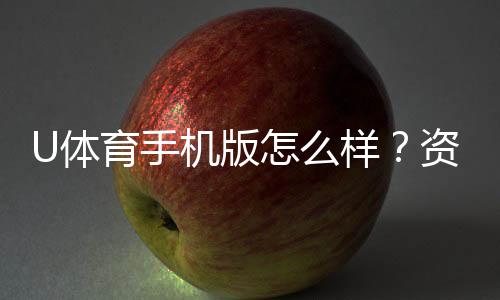 U体育手机版怎么样？资深玩家实测体验与下载指南