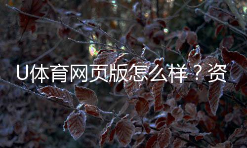 U体育网页版怎么样？资深玩家真实体验评测