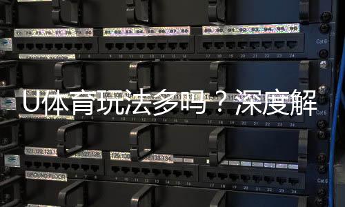 U体育玩法多吗？深度解析平台特色与游戏选择