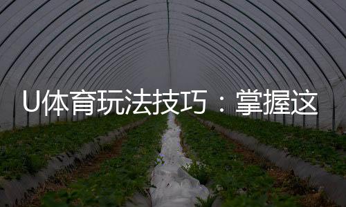 U体育玩法技巧：掌握这些策略让你稳赢不赔