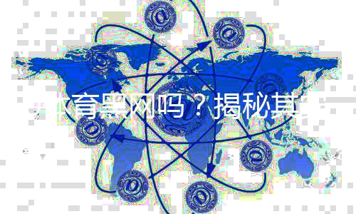 U体育黑网吗？揭秘其安全性及玩家真实体验