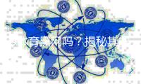 U体育黑网吗？揭秘其安全性及玩家真实体验